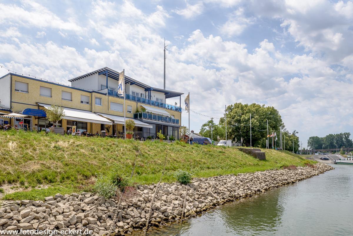Hotel Rheingold Gernsheim Eksteriør bilde