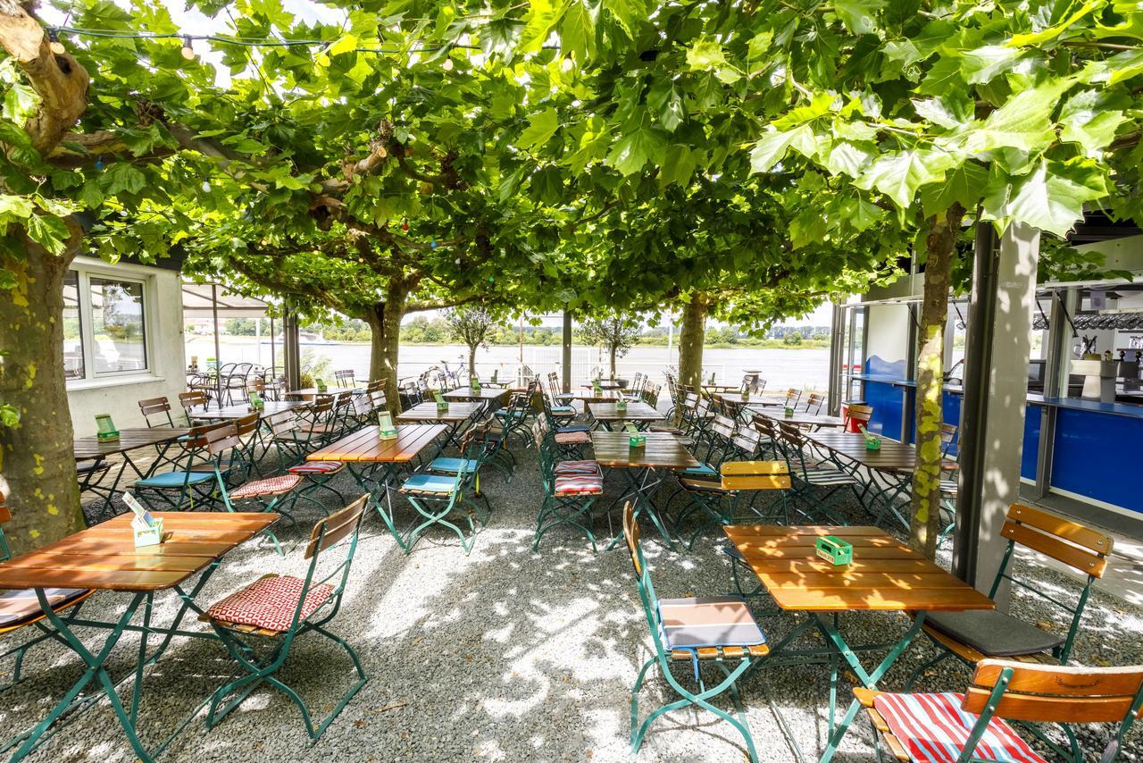 Hotel Rheingold Gernsheim Eksteriør bilde