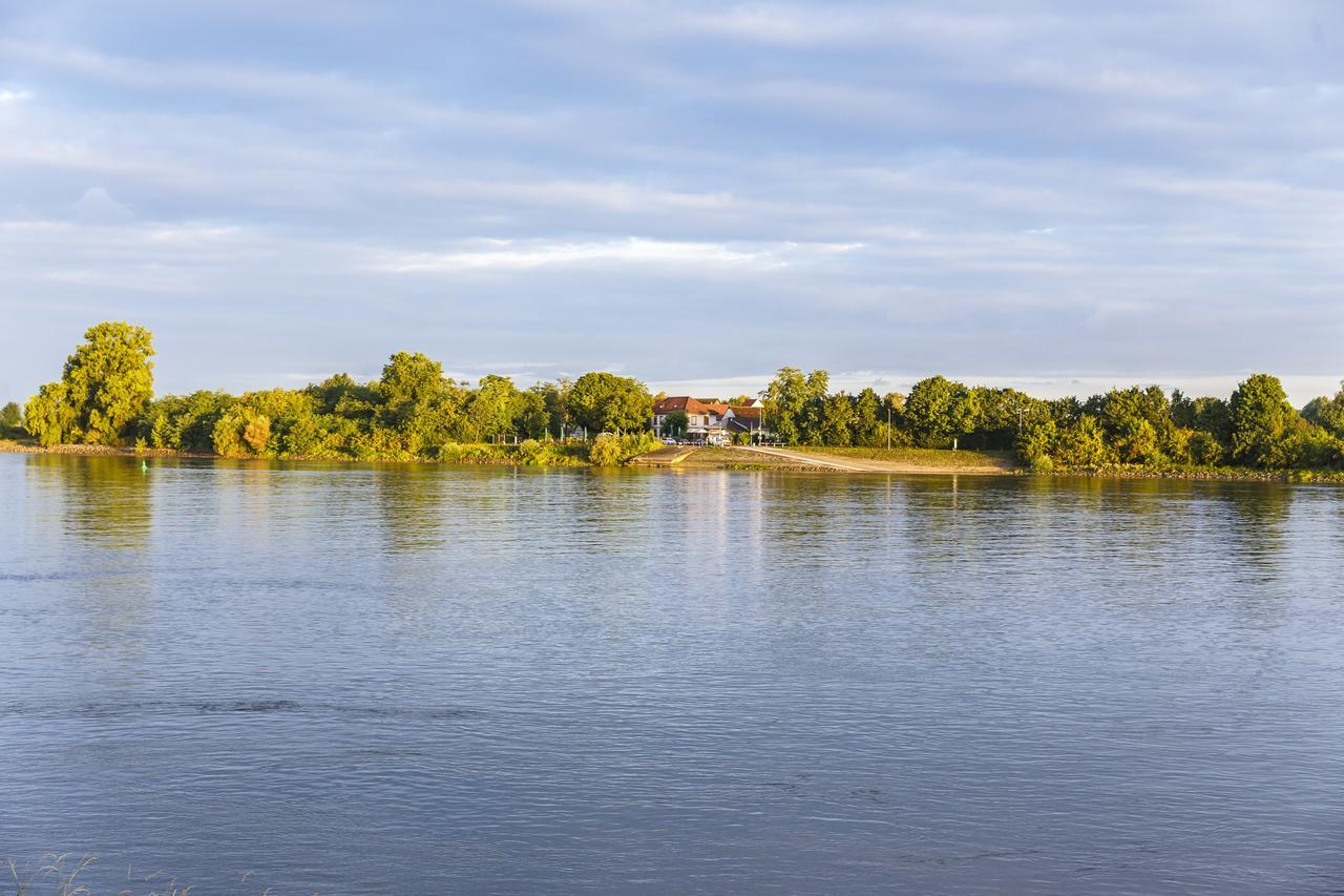 Hotel Rheingold Gernsheim Eksteriør bilde